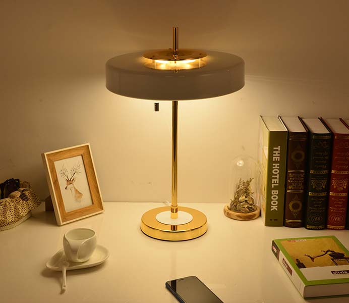 Contemporary Aluminum Desk Lamp with E14 Lights