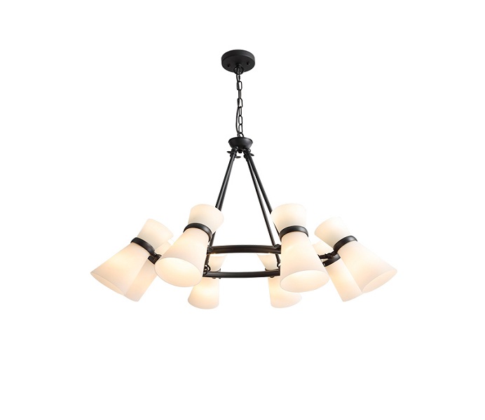 Black Iron G9 Chandelier with 10 Lights 