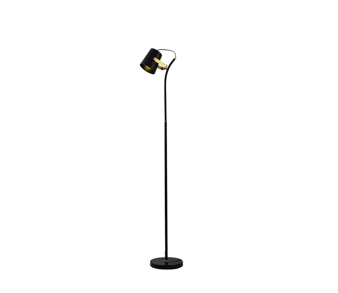 Black Iron E27 Floor Lamp with Iron Shade